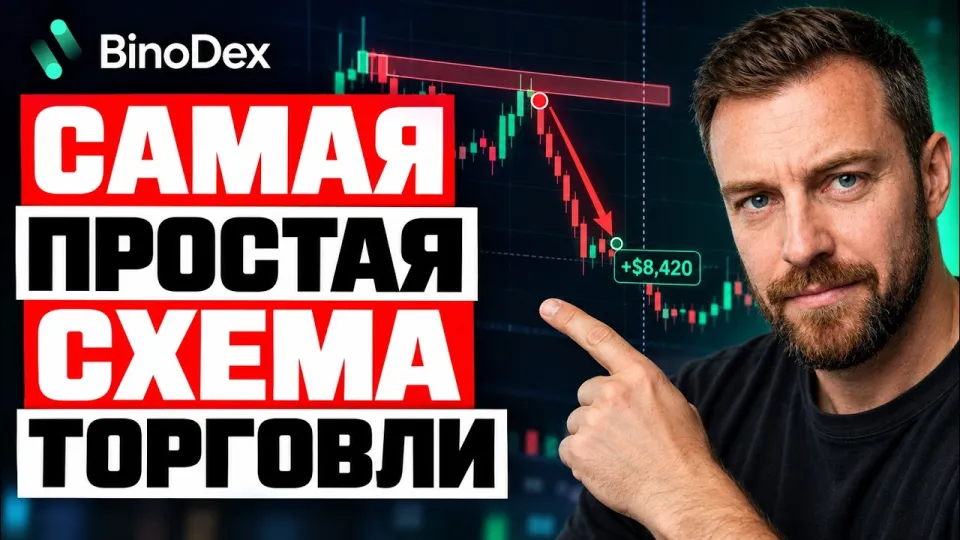 BinoDex Trading Platform Features and Strategy